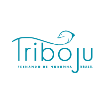 Icone do Cliente - Triboju